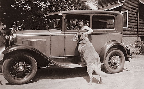 woman in drivers seat of model t ford with lab on running board
