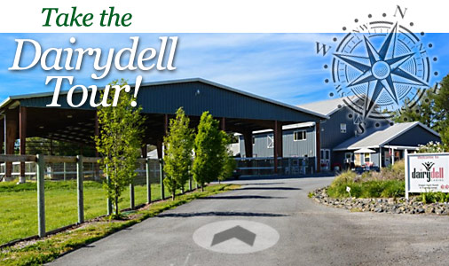 dog boarding and training title image for Dairydell Canine 3D Tour