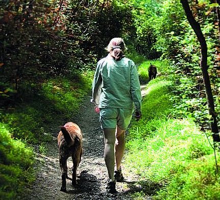 photo of woman walking dog in forest