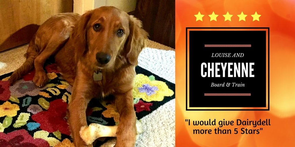 Dog Training Reviews and Testimonials 2 Photo for Dog Training Review for Dairydell Canine - Sonoma County, California