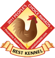 Dairydell Canine Training and Boarding | Home Page 16 Best Kennel Award 2011 Logo for Dairydell Canine