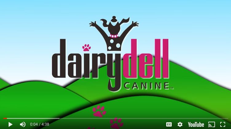 dog boarding & training video title for Dairydell Canine