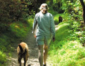 photo of dog owner walking a dog in forest