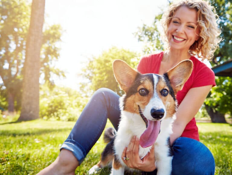 board and train customer with dog