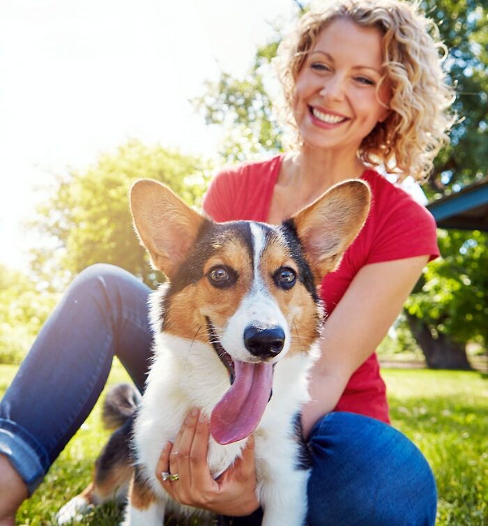 board and train customer with dog