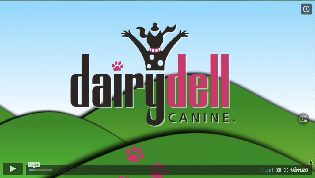 Dairydell Canine Training and Boarding | Home Page 11