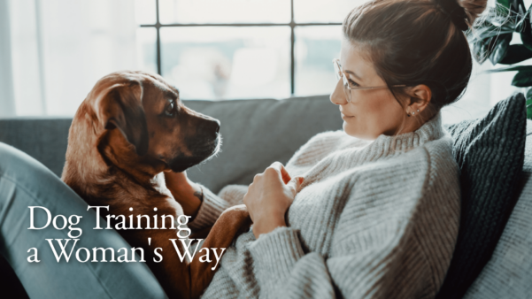 Dairydell board and train video explaining dog training for women