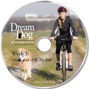 Dairydell board and train DVD - week three off leash training