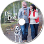 Board and Train - Dream Dogs Complete 11