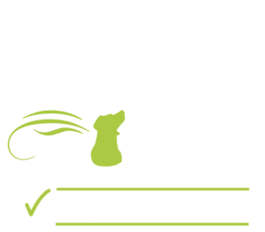 Board & Train - Dream Dog Complete Week 2 1
