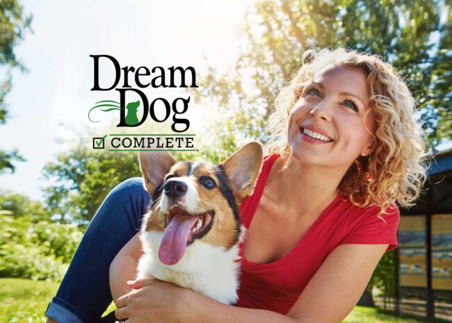 Dog Boarding and Training Services for Northern California 1