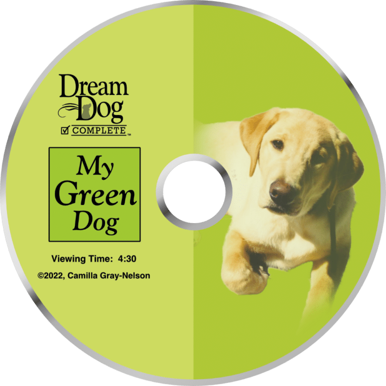Board & Train - Dream Dog Complete Week 2 6