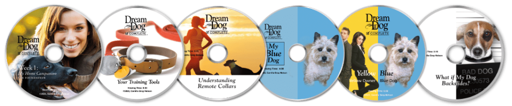 Board and Train - Dairydell training DVDs for Dream Dog program