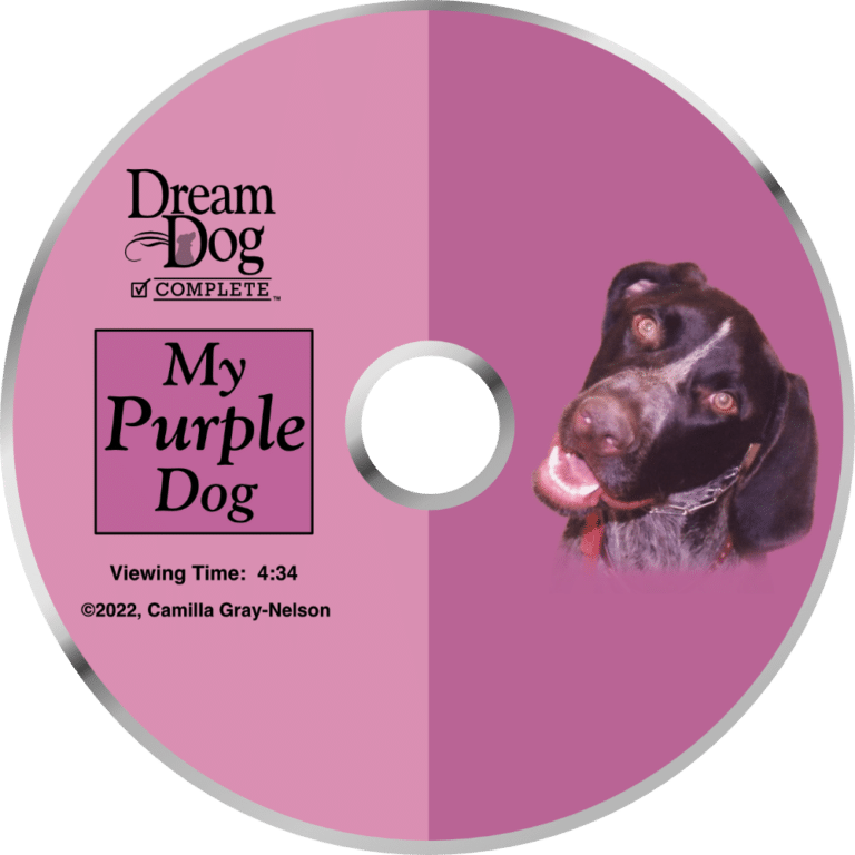 Board & Train - Dream Dog Complete Week 2 4