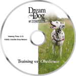 dog board and train - Dairydell DVD training vs obedience