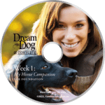 Board and Train - Dream Dogs Complete 3