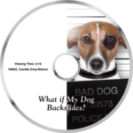 Board and Train - Dream Dogs Complete 7