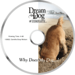 board and train dvd - why does my dog?