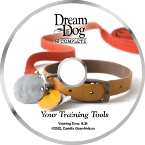 The Proper Use Of Your Dog Training Tools – Canine Life Skills